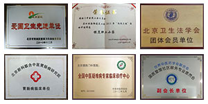 ��ʤ������