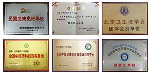 ��ʤ������